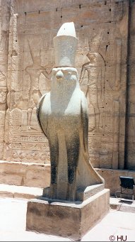 Horus-falken