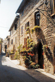 Assisi 